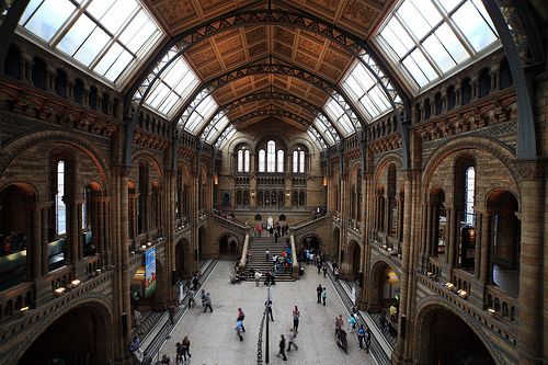 Объектив Samyang 14mm f/2.8 для Nikon